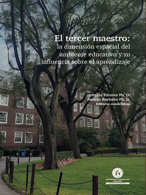 cover image of El tercer maestro